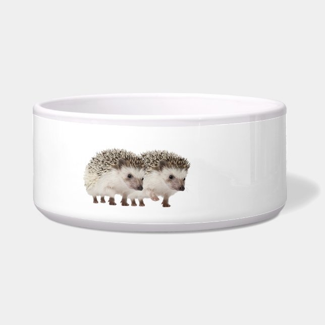 Tigela Imagem de Hedgehog para Pet Bowl Grande (Frente)