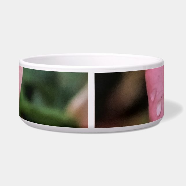 Tigela Impressão de Arte Botânica Rosa Romântica (Traseira)