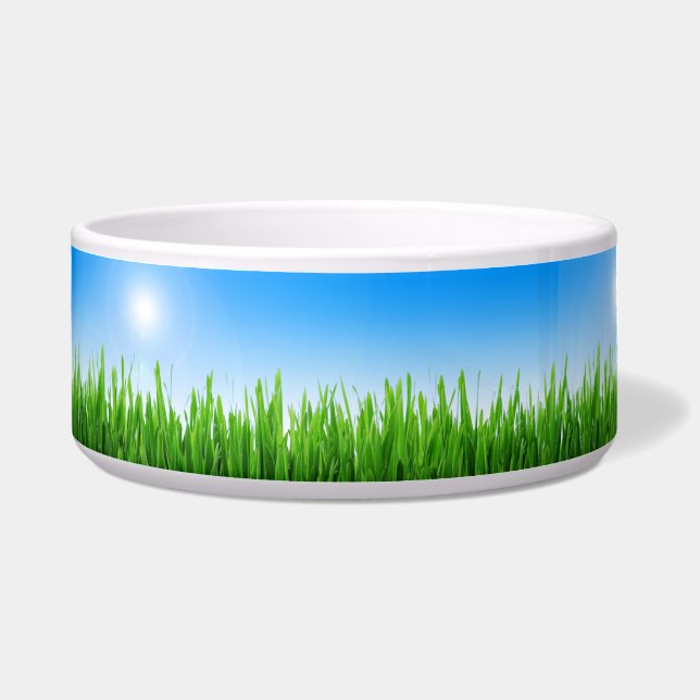 Tigela Jardim de Relva Verde com Desenho de Céu Azul (Frente)