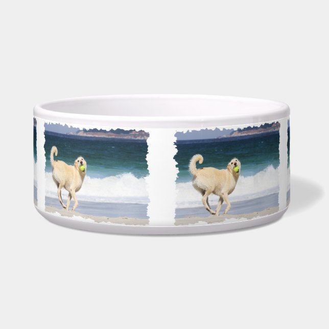 Tigela Labradoodle - dia feliz na praia (Frente)