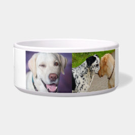 Tigela "Labrador Personalizado e Boliche de Cachorro Dalm