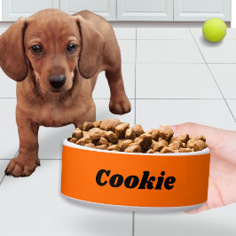 Tigela Laranja Brilhante Estiloso Moderno Cachorro Person