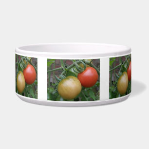 Tigela Laranja e Tomates Vermelhos