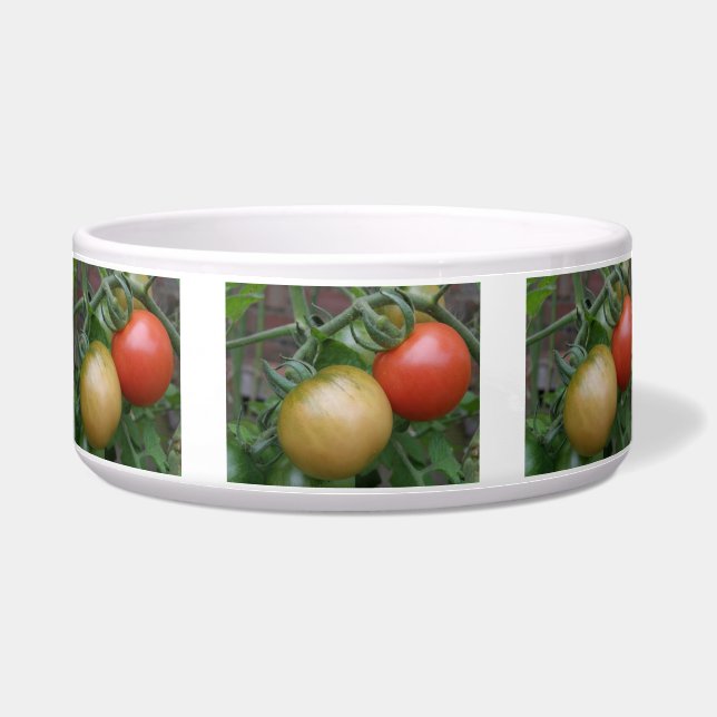 Tigela Laranja e Tomates Vermelhos (Frente)