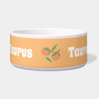 Tigela Laranjas Folha Nome Desenho Da Mão