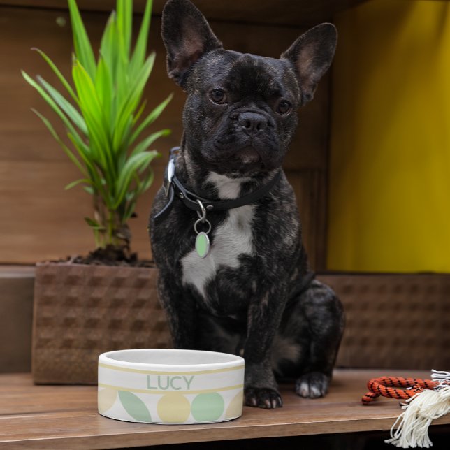 Tigela Limão/Limão Citrus Retro Dog/Cat Bowl (See coordinating collar, tag, and leash!)