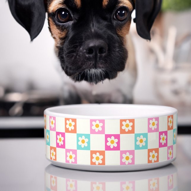Tigela Linda Tabuleiro de Xadrez Margarida Cor Simples Pe (Cute dog bowl with colorful daisy chequerboard pattern)