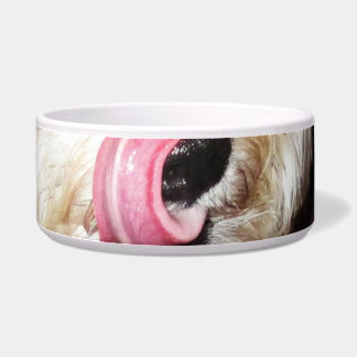 Tigela Língua máxima da bacia do cachorrinho!