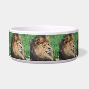 Tigela Lion_2015_0701