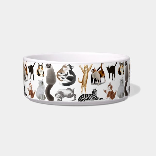 Tigela Louco sobre a bacia do animal de estimação dos (Frente)