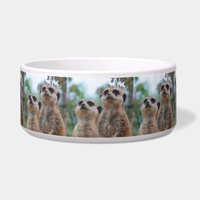 Tigela Meerkat_2015_0410 (Frente)