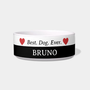 Tigela Melhor Cachorro Alguma Vez Cerâmica