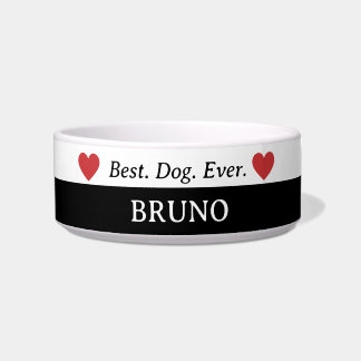 Tigela Melhor Cachorro Alguma Vez Cerâmica