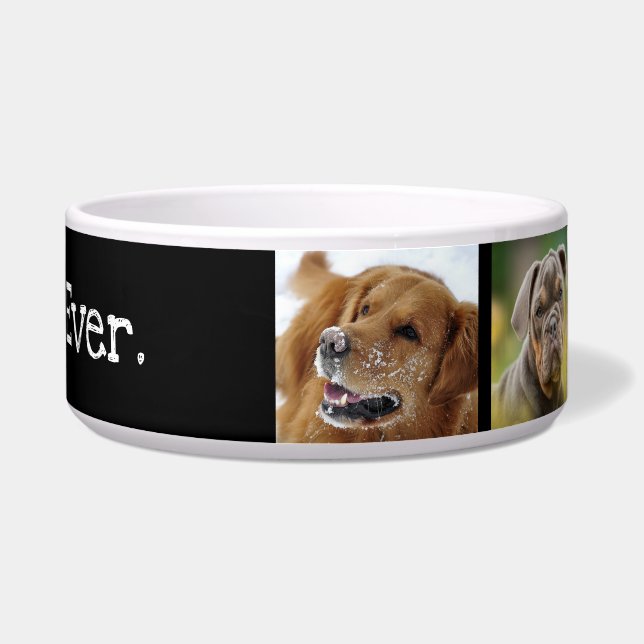 Tigela Melhor Cão Alguma Vez Colagem Fotográfica Diversão (Direita)