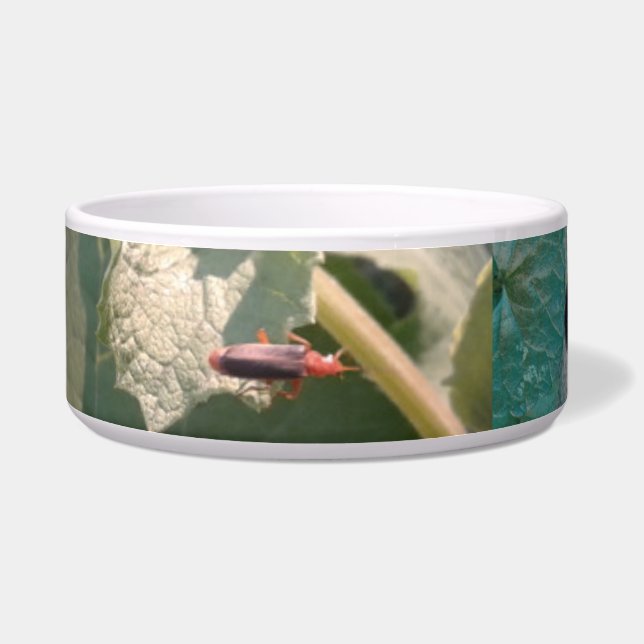 Tigela MEU PETS BOWL/MED.&LG / CERAMIC /#mmetropólio (Esquerda)