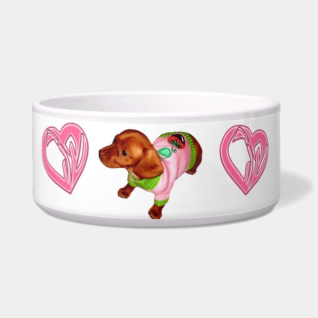 Tigela Mini prato e bacia poderosos do Dachshund (Esquerda)
