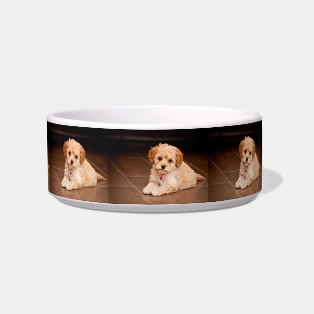 Tigela Mistura da caniche do bebê ou cão de filhote de (Esquerda)