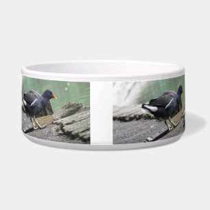 Tigela Moorhen Dog Bowl
