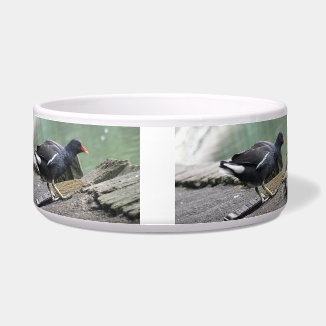 Tigela Moorhen Dog Bowl (Frente)
