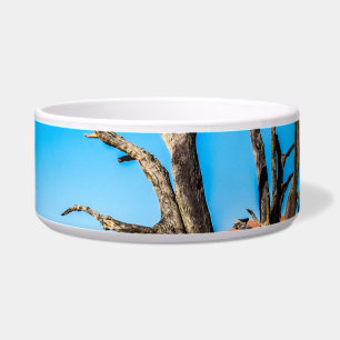Tigela Morto em Deadvlei, Namíbia