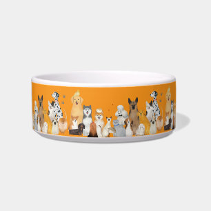 Tigela muitos animais de estimação
