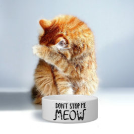 Tigela Não Me Pare Meow | Citação Divertida Script Preto