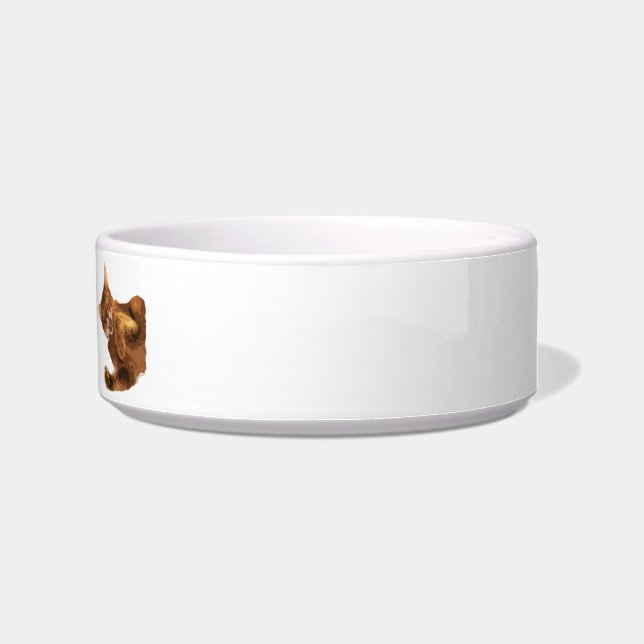 Tigela Nenhum Declaw a bacia da comida de gato do gatinho (Direita)