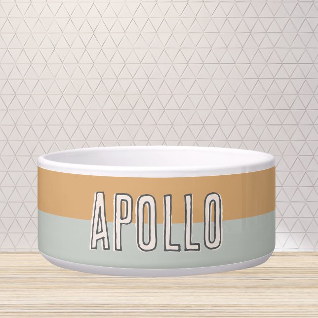 Tigela Nome de Pet de Tonalidade Moderno Personalizado (Customize this fun, modern dog bowl with your pet's name! )