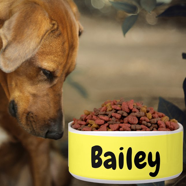 Tigela Nome Personalizado Cor da Arte Fotográfica Grande (Custom Personalized Name Photo Art Color Pet Large Bowl)