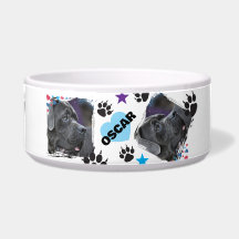 NOMES MODERNOS E NA MODA PARA AMANTES DE PETS, FOT