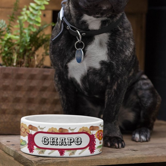 Tigela Novo México Vermelho Chile Pinõn Zia Balão de Ar Q (Criador carregado)