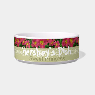 Tigela O dia novo jardina o hemerocallis PM Hershey do