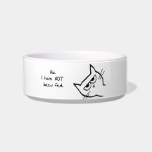 O gato irritado não foi alimentado!