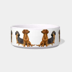 Tigela O Wiener do Dachshund persegue a bacia do animal