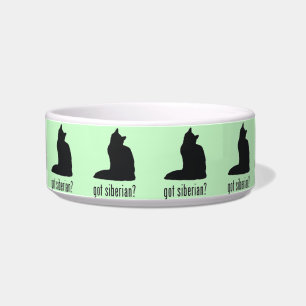 Tigela Obtido Siberian? Bacia da comida de gato ou da