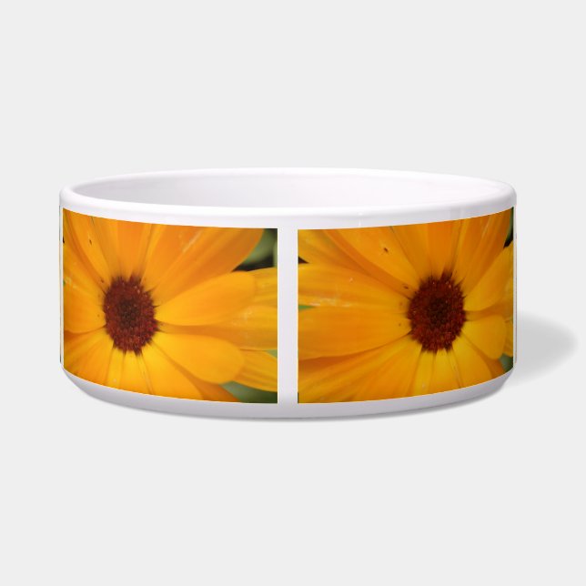 Tigela Orange Rain Daisy Dog Bowl (Traseira)