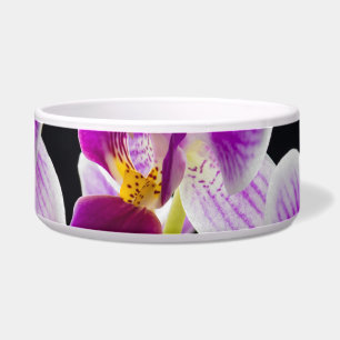 Tigela Orquídea branca e roxa