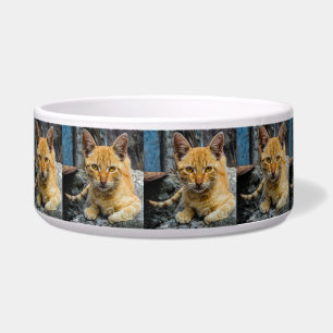 Tigela Ouro Eyes Bowl