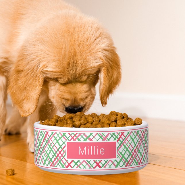 Tigela Padrão Geométrico Colorido de Pré-Disquete Abstrat (Criador carregado)