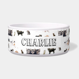 Tigela Padrão personalizado com fotos de gatos e gatinhos