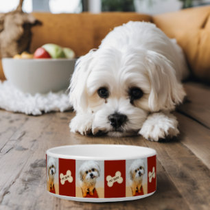 Tigela para cachorro Malshi com osso grená