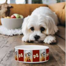 Tigela para cachorro Malshi com osso marrom