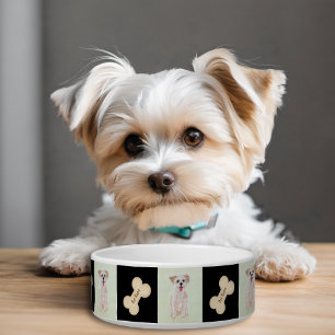 Tigela para cachorro Morkie com osso