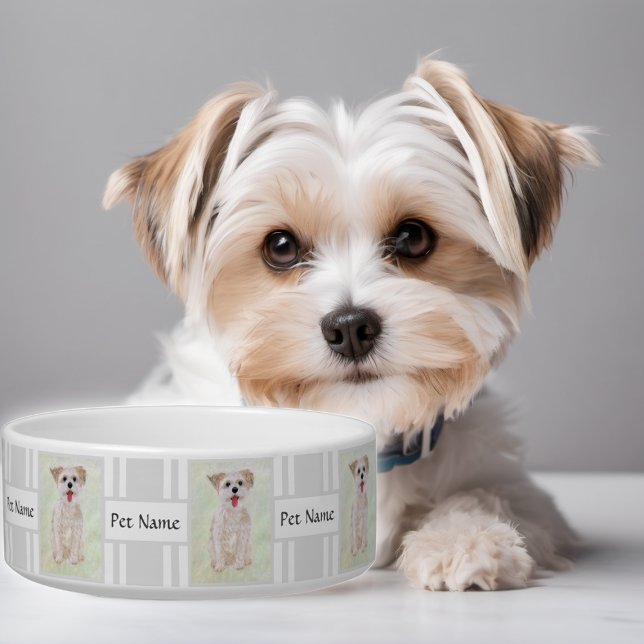 Tigela para cães Morkie com texto personalizável (Criador carregado)