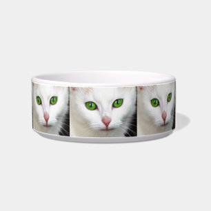 Tigela para Pet de Gato Branco de Olhos Verdes
