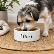 Tigela para Pet DIY | Nome, Cor, Texto Personaliza