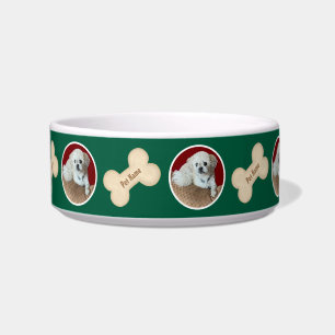 Tigela para Pet Malshi com Osso Verde