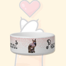 Tigela para Pet Tigre Floral 2 & Corações
