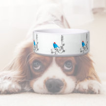 Pássaro azul no Natal