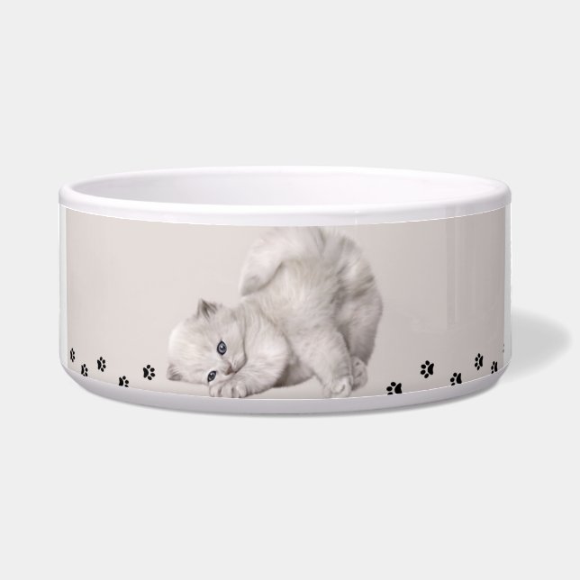 Tigela "Pawyer Bowl"? Gatinho (Frente)